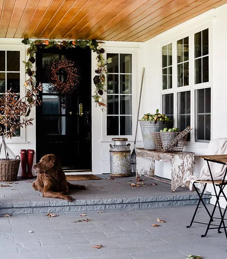 Can you feel the air cooling down? It’s getting me excited for the upcoming season, and I’ve started with a little fall kitchen decor…come on in!