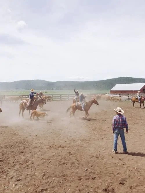 “This Week on the Ranch” is a weekly series sharing snippets and stories from life on the range. This week we're talking about cattle branding.