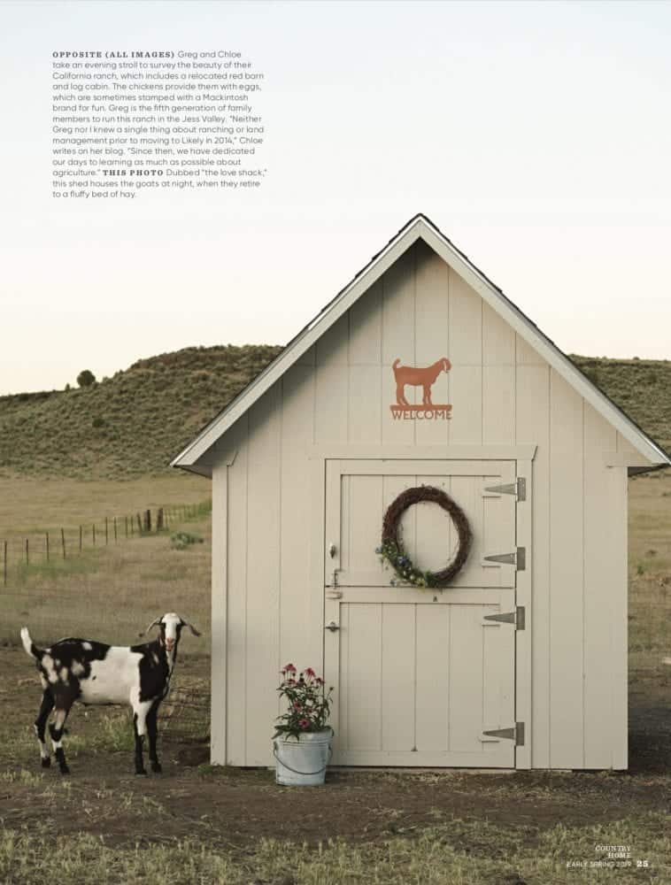 White Outdoor Storage Shed with Goat