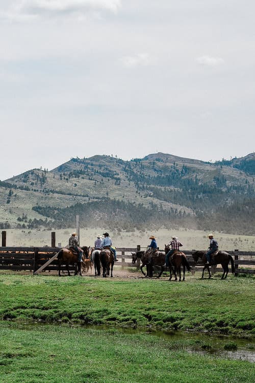 “This Week on the Ranch” is a weekly series sharing snippets and stories from life on the range.”