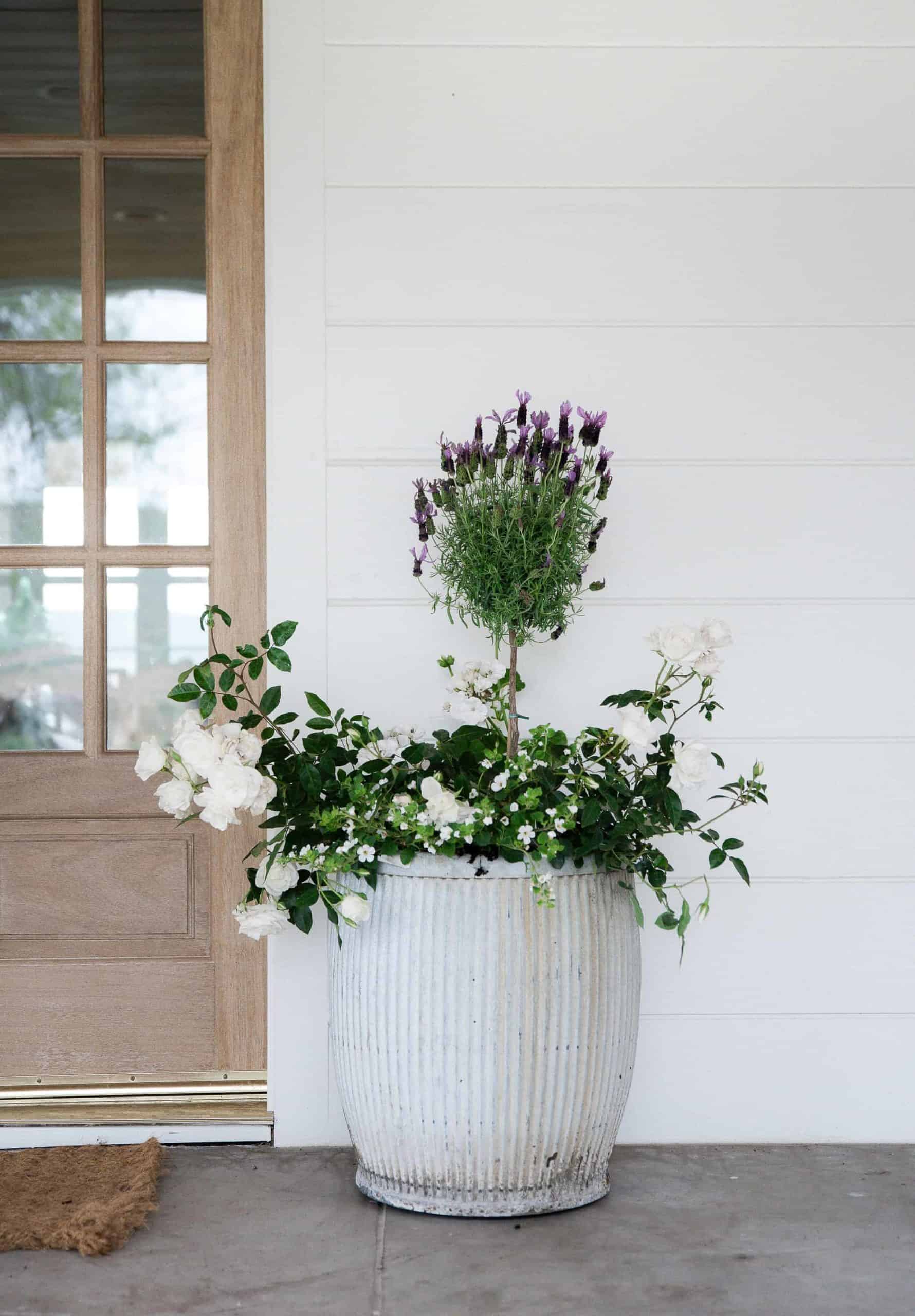 Gorgeous flower pots on a farmhouse porch with white flowers and lavender. 