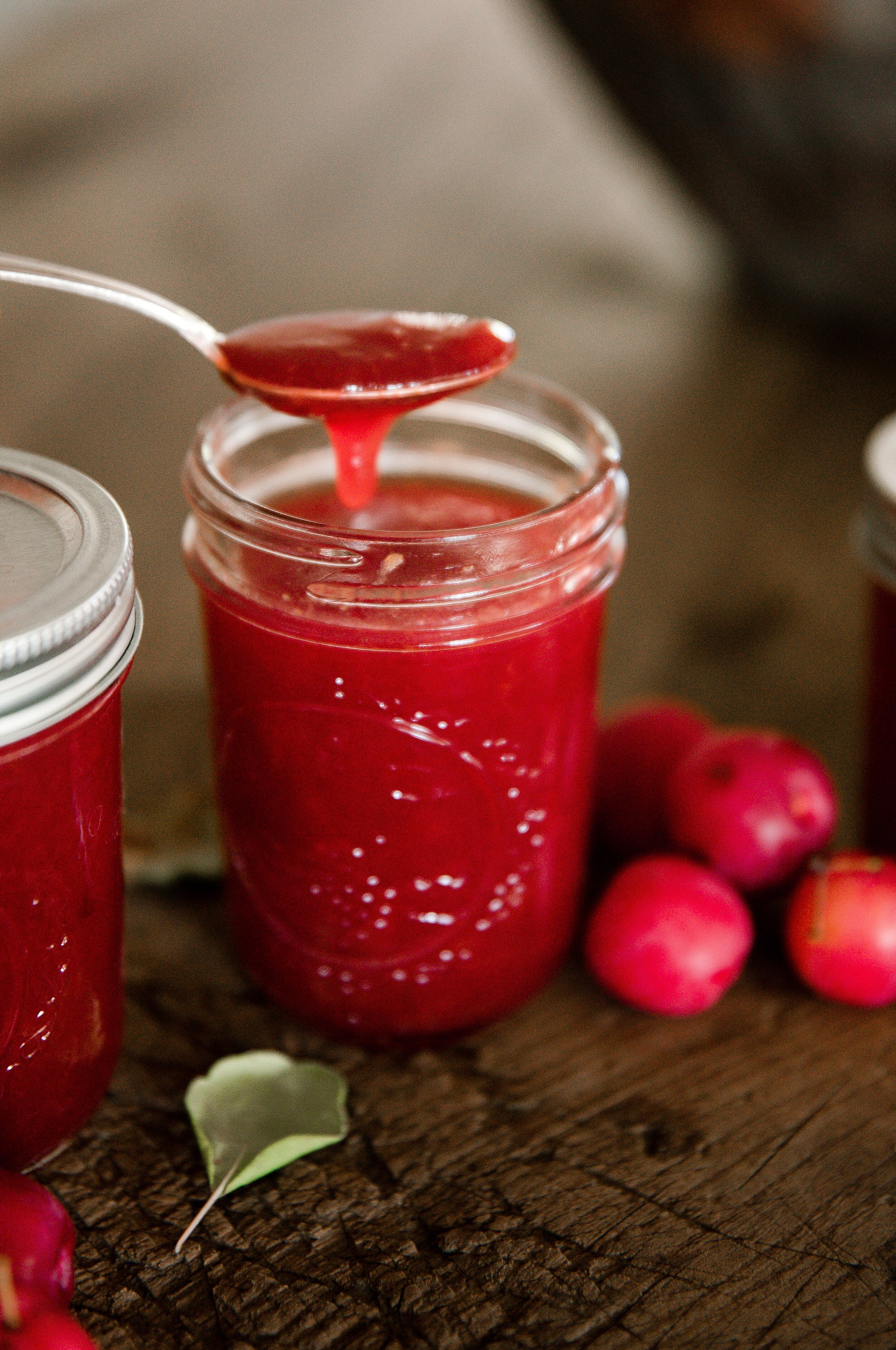 Homemade Plum Jam Recipe - Boxwood Ave.