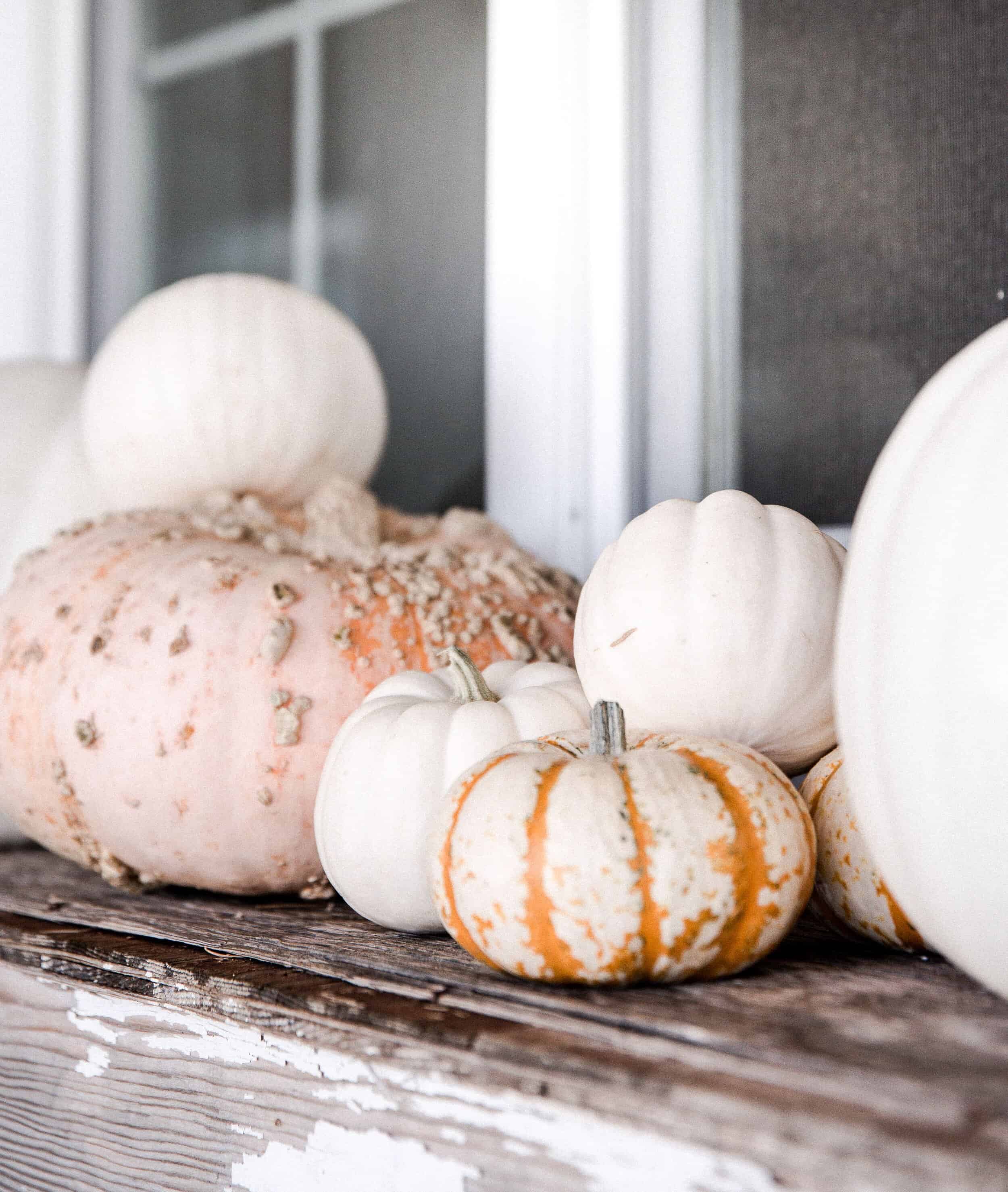 Fall is officially here, so it’s safe to break out that fall porch decor! Get inspired to decorate for fall with these simple decorating ideas! 