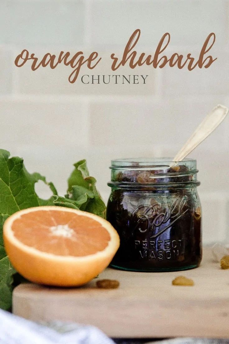 Preserve your rhubarb crop with this delicious orange rhubarb chutney recipe! This chutney recipe is full of flavor and is so easy!