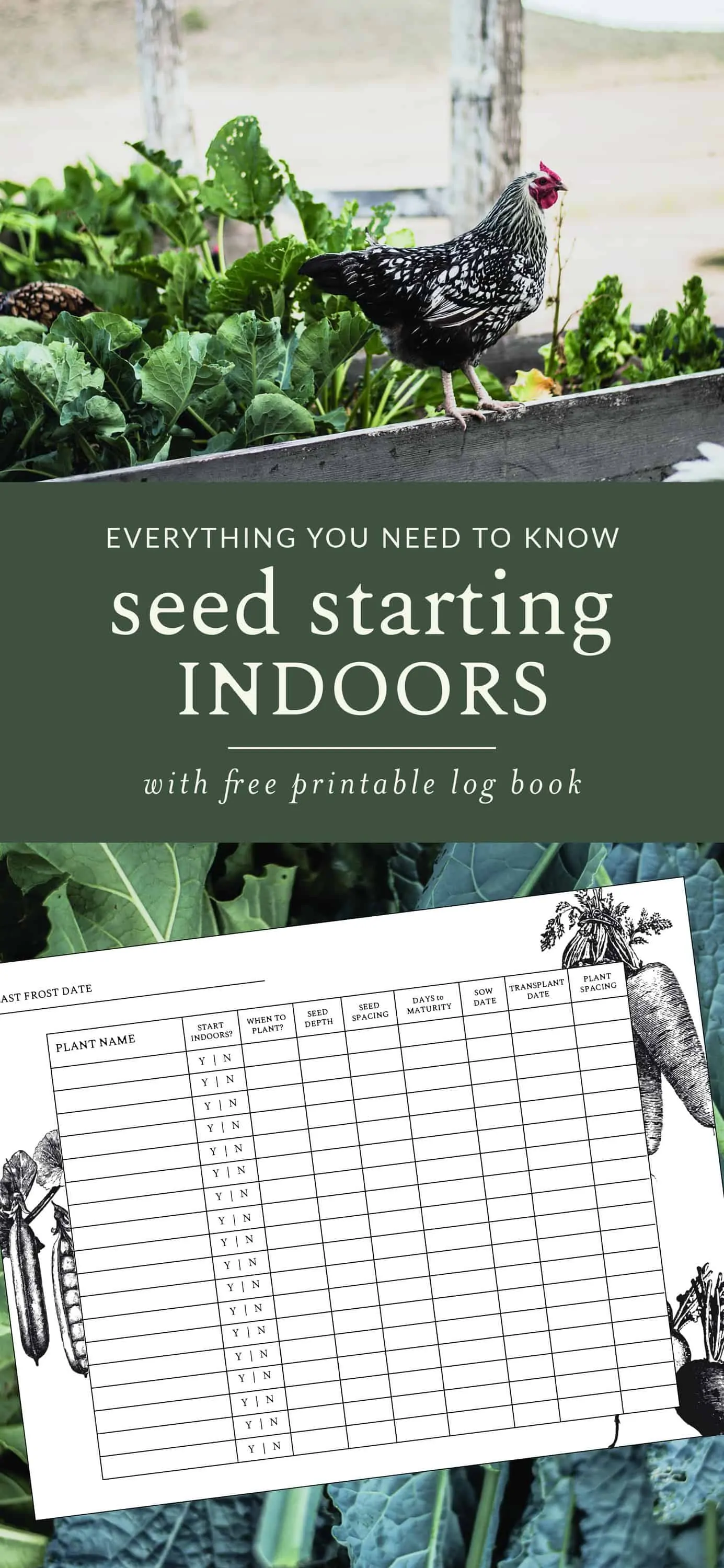 Live in a cooler climate with a limited growing season? Start your seeds indoors for an a jumpstart on your vegetable garden! Learn how to start seeds indoors in this easy to follow post, plus download my free printable seed starting log book!