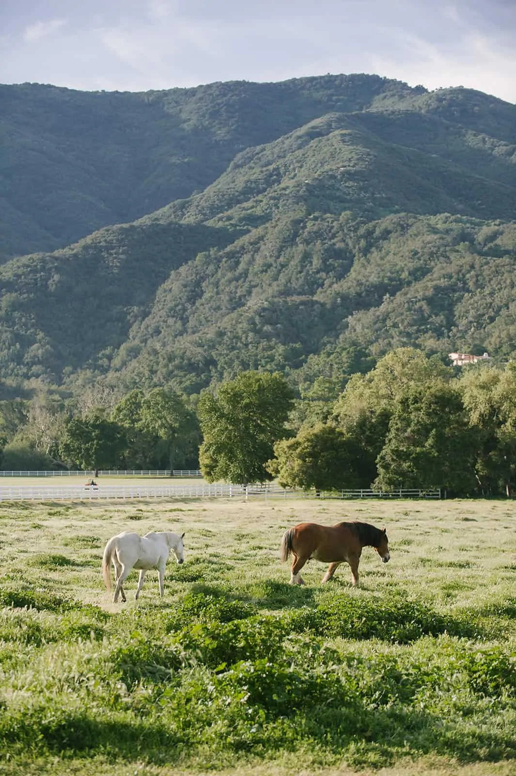 If you follow along on Instagram, you might have seen snippets from my recent trip to Santa Ynez in southern California as we celebrated the launch of Pacific Natural by Jenni Kayne. Today I am excited to share more details and photos! 