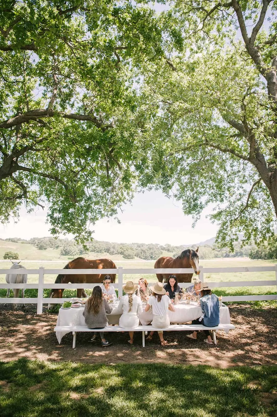 If you follow along on Instagram, you might have seen snippets from my recent trip to Santa Ynez in southern California as we celebrated the launch of Pacific Natural by Jenni Kayne. Today I am excited to share more details and photos! 