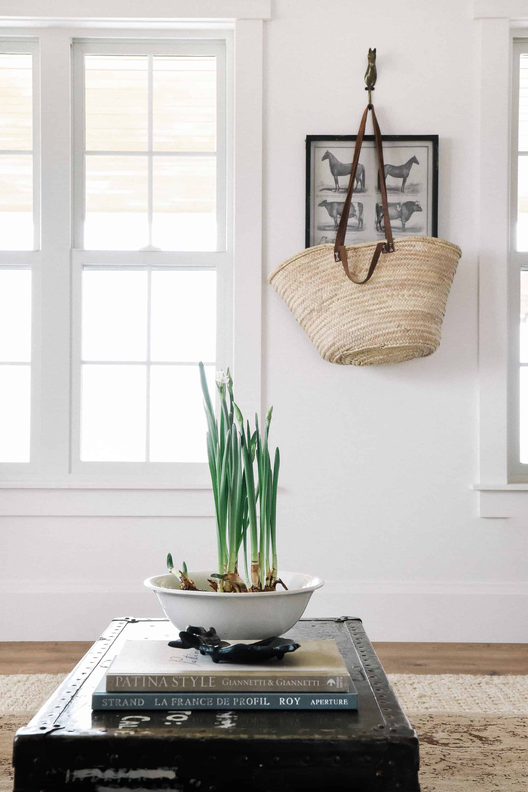 Forcing bulbs is beyond easy! Learn how to force bulbs like Paper Whites and Amaryllis indoors for beautiful blooms throughout winter and spring!