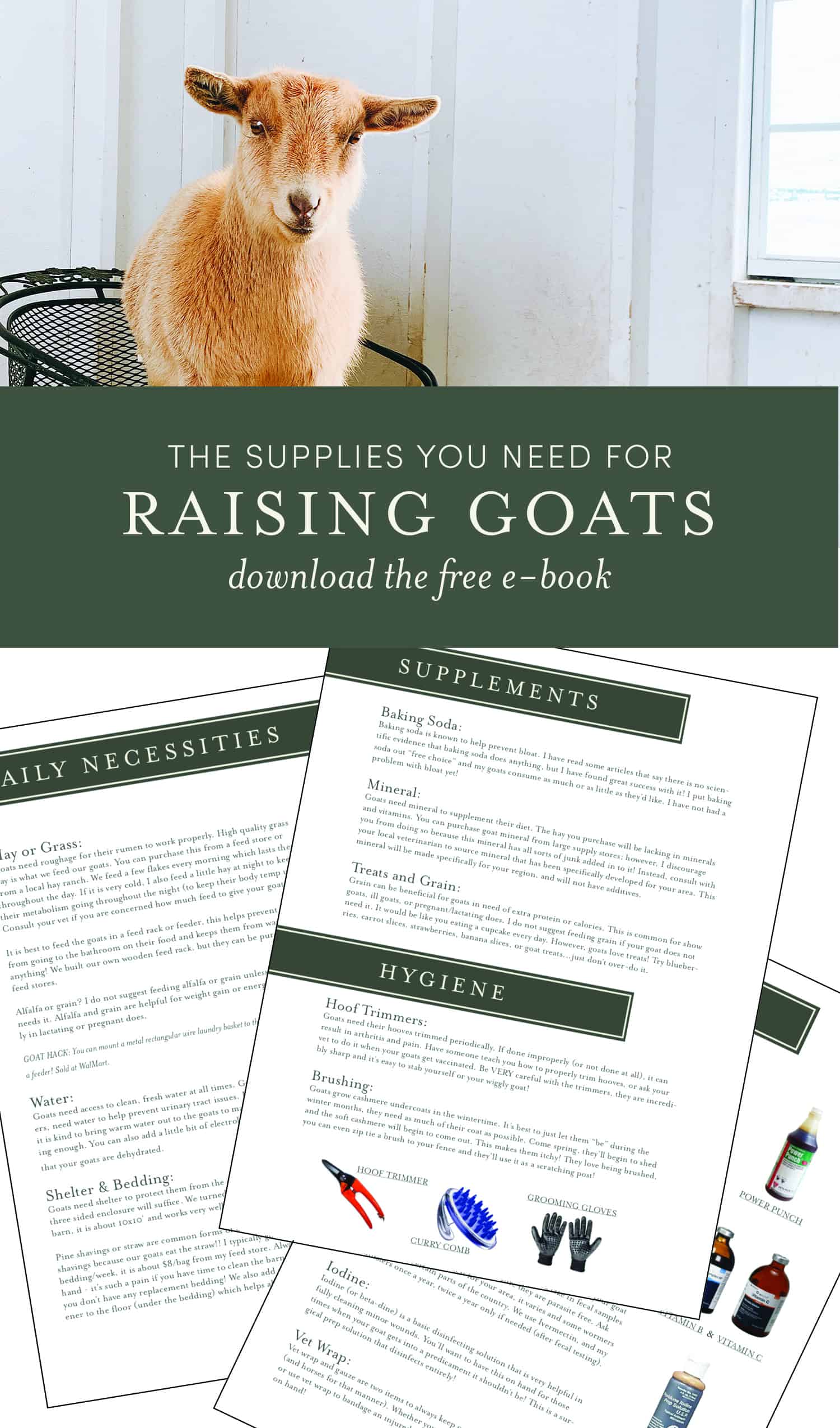 The Supplies you Need for Raising Goats with Free EBook Boxwood Ave
