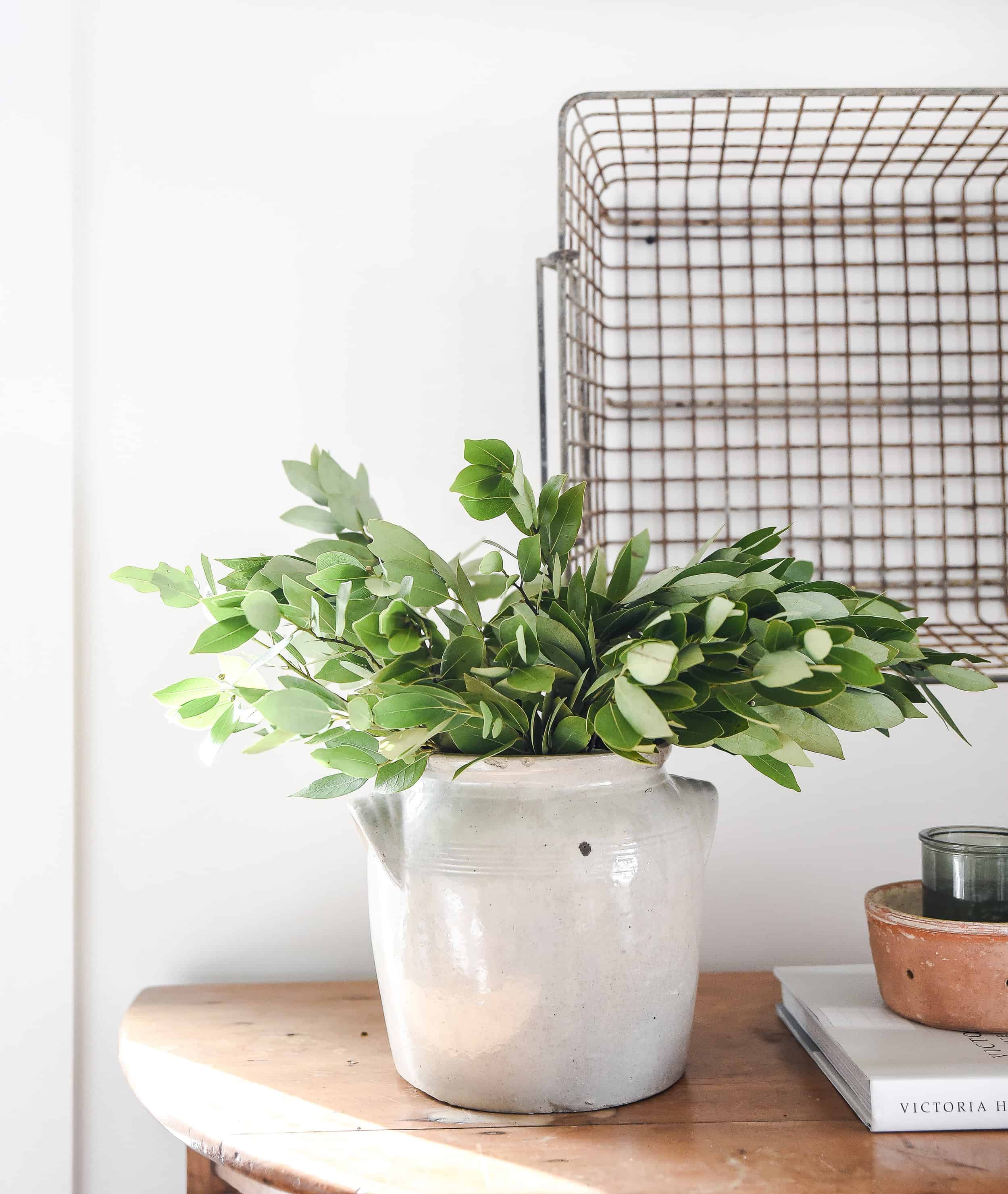 Although spring hasn’t quite arrived, I have already started to change things around hoping to usher in the new season! Take a peek into our spring home and get inspired with decor ideas for your own home!