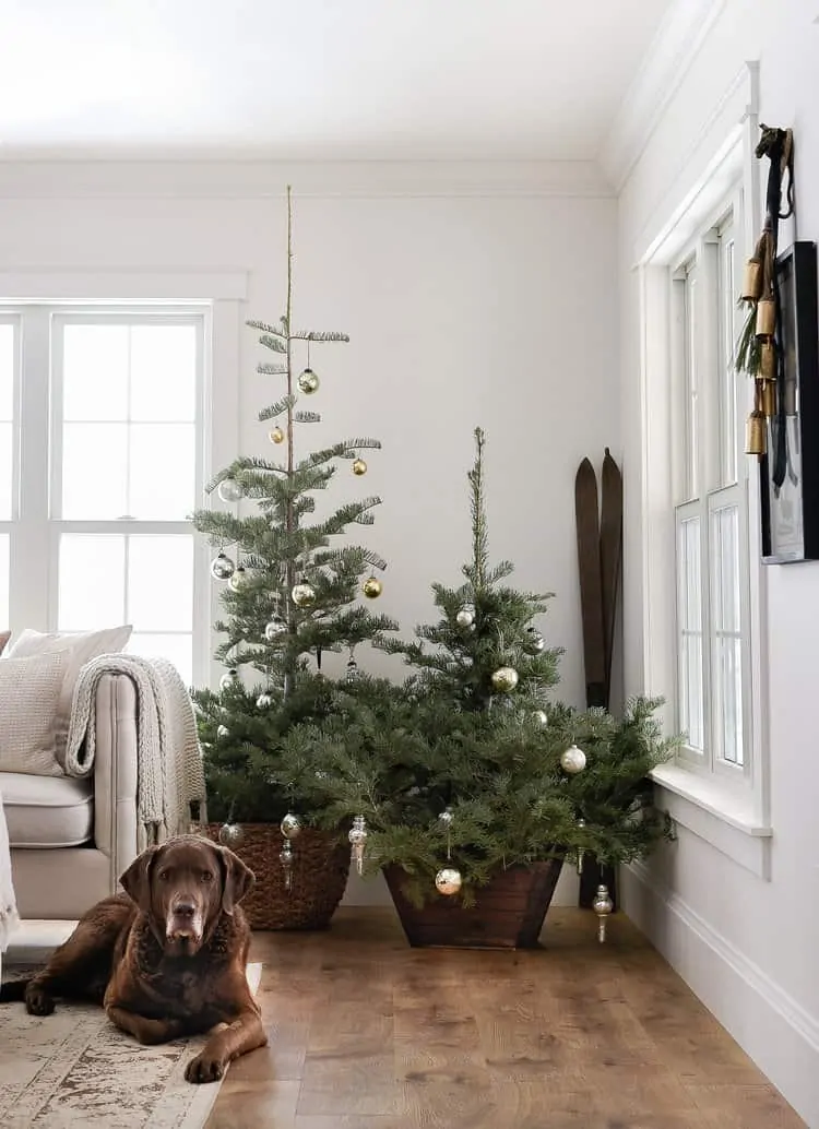 Mercury glass and greenery are the perfect touches for a simple farmhouse Christmas.