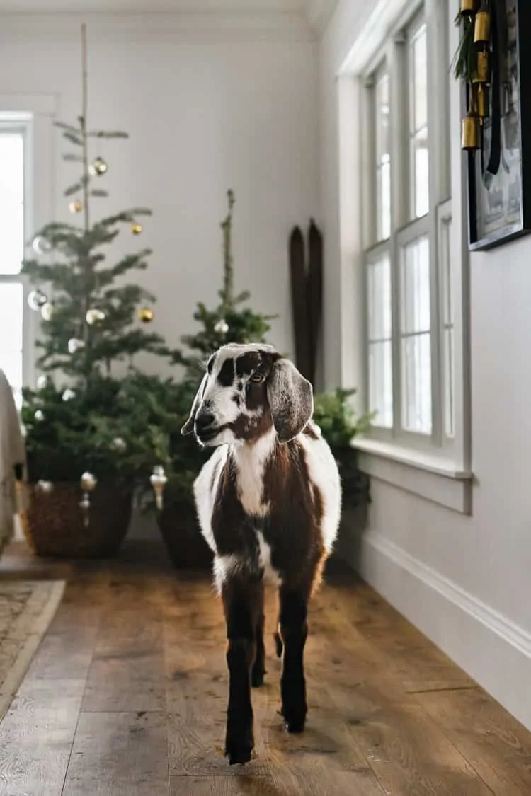 Mercury glass and greenery are the perfect touches for a simple farmhouse Christmas.