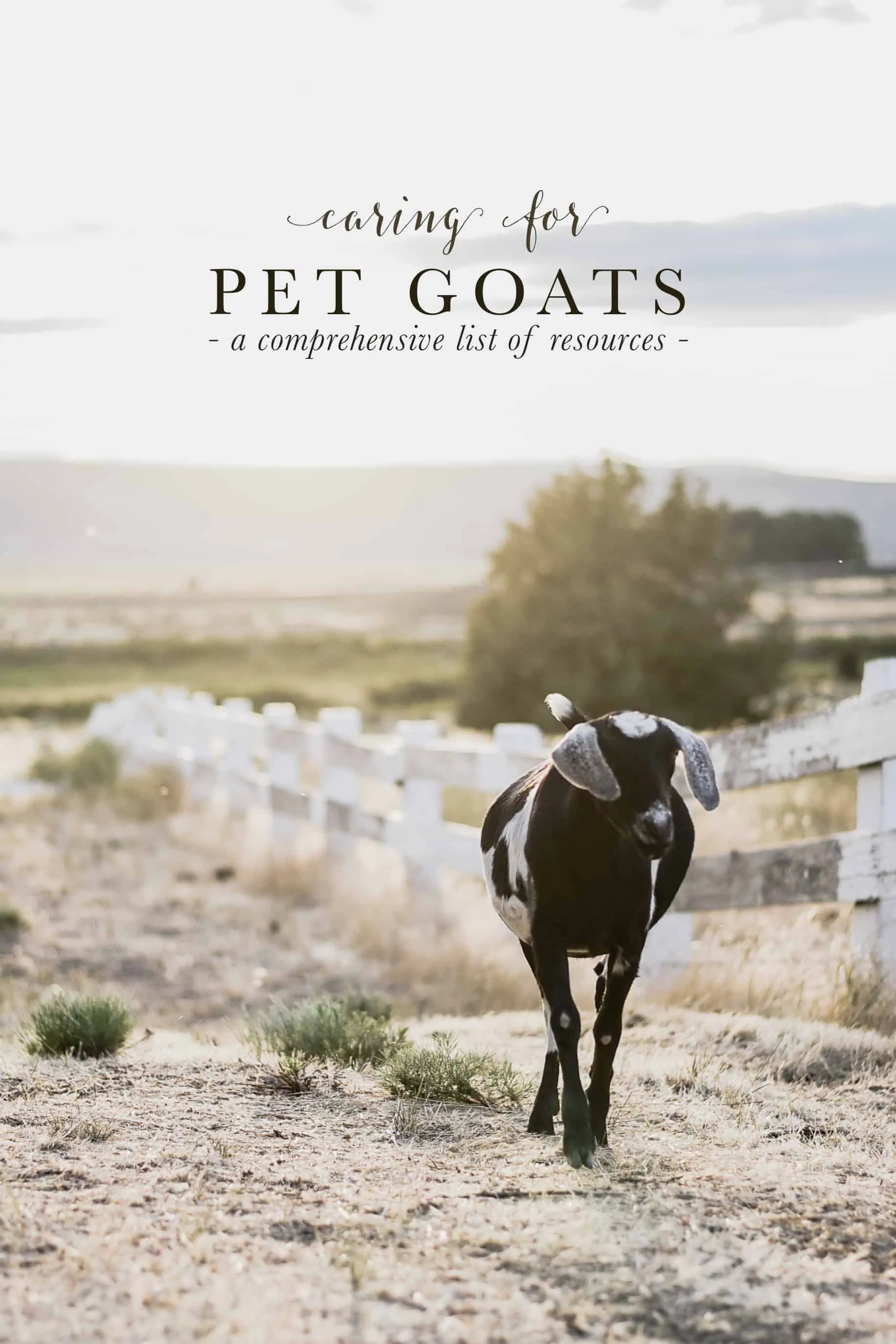 The Best Resources for Goat Care: My two favorite websites for goat health information; full of information for raising goats as pets as well as for income. #goatcare #goatresources #goats