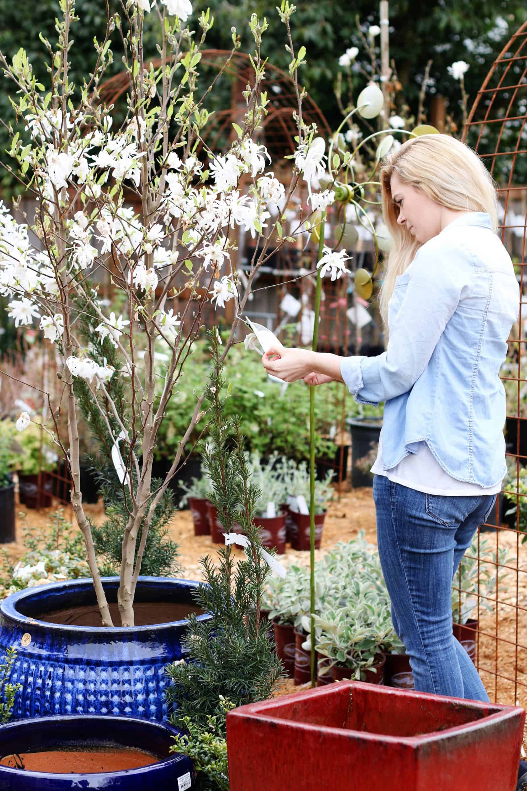 Gardening 101 Choosing the Right Plants for your Garden