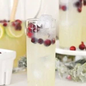 Glass of champagne punch with cranberries