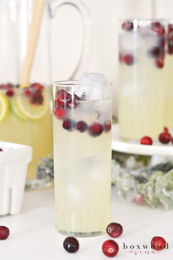 Glass of champagne punch with cranberries