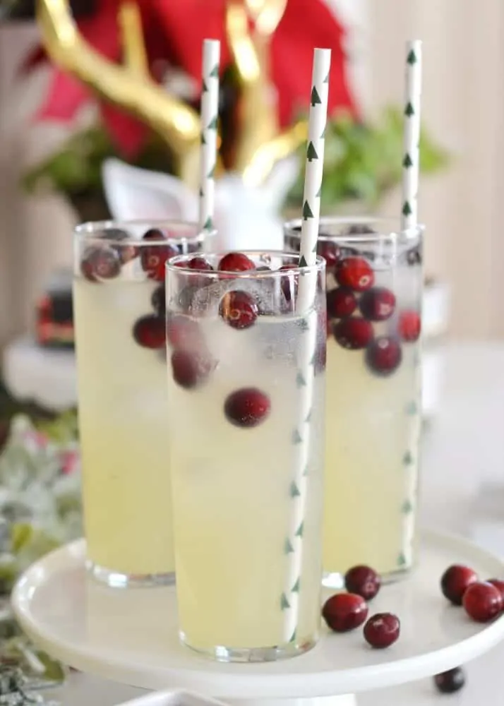 Champagne Party Punch Sangria with cranberries