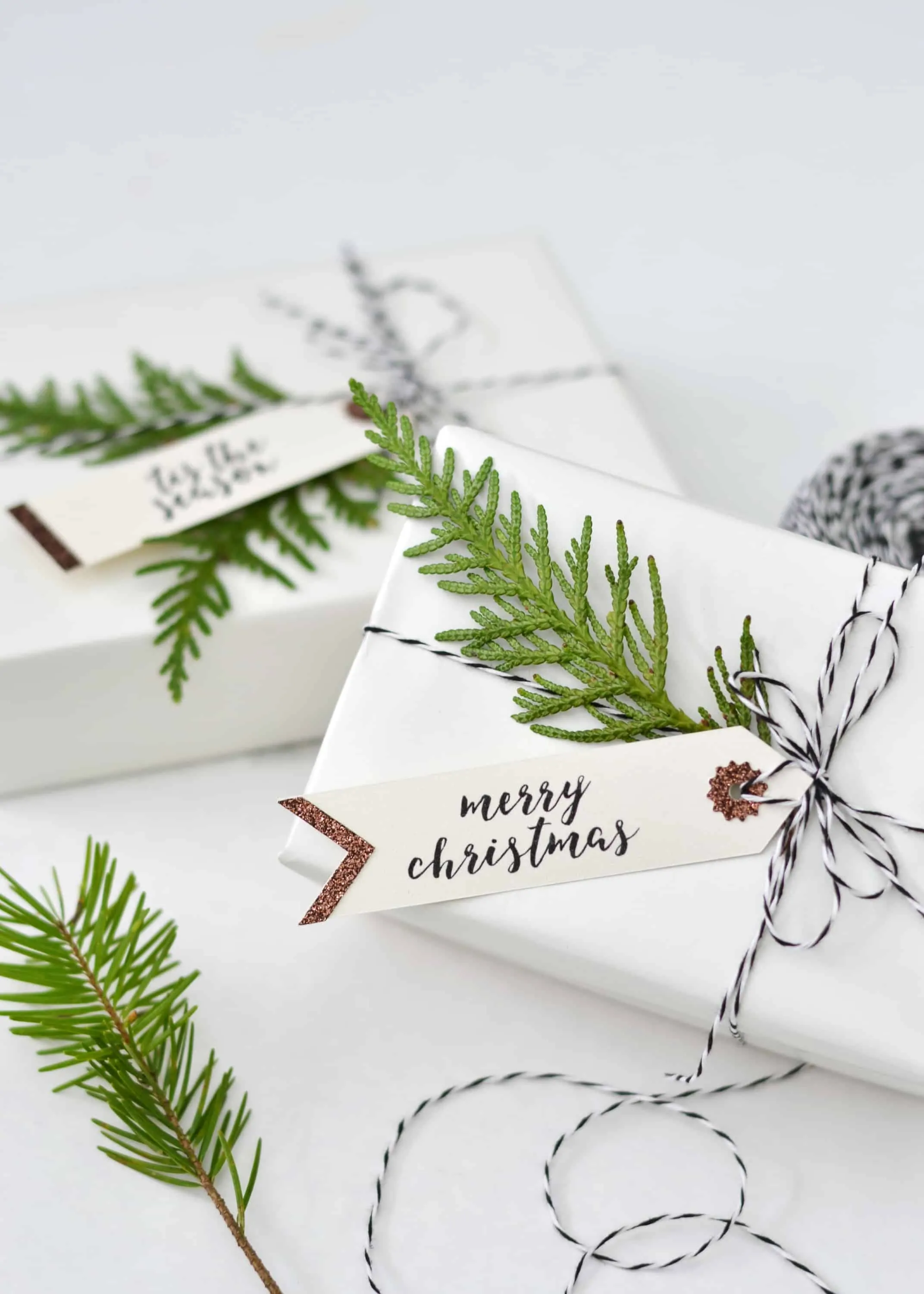 DIY Cricut Gift Tags for Today's Creative Life - Boxwood Ave.