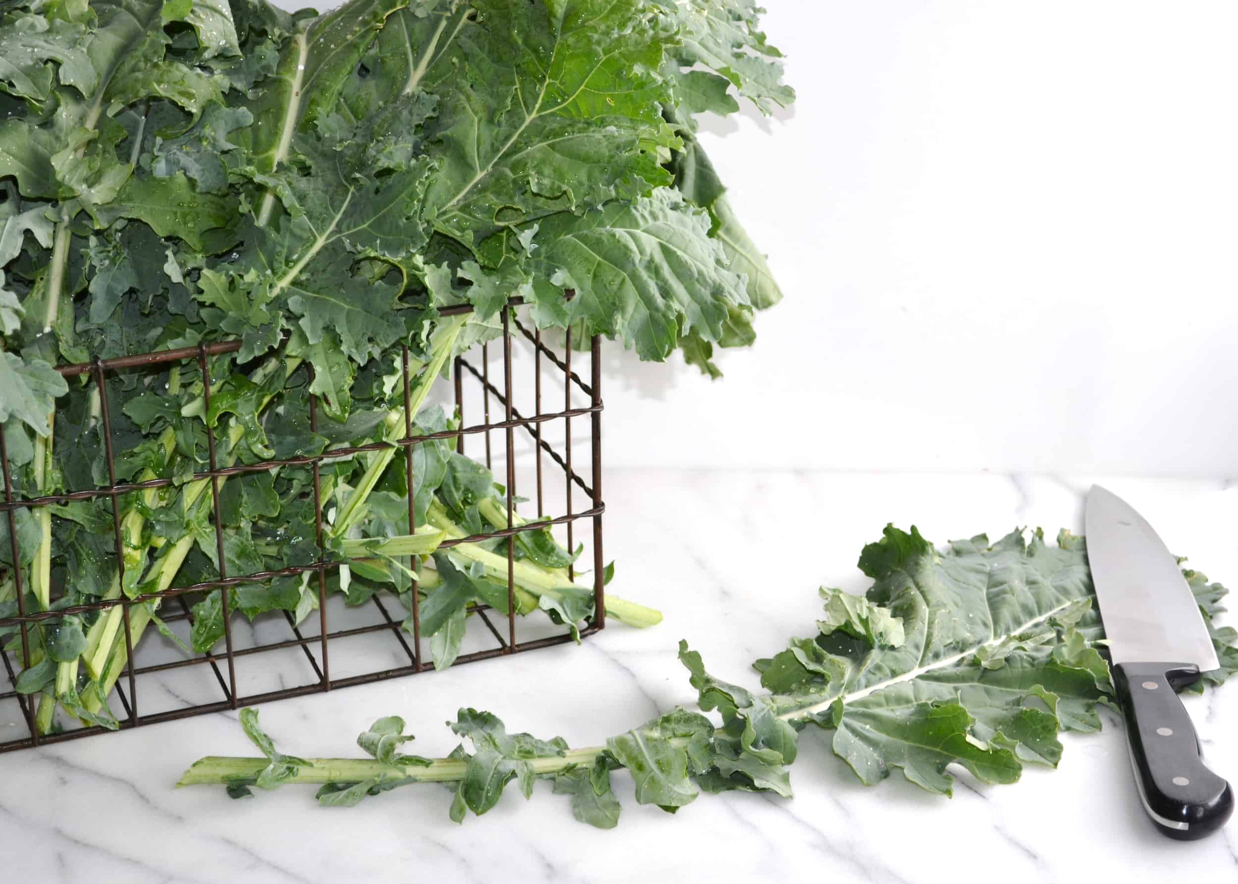 How to Freeze Kale Preserving Kale Boxwood Ave