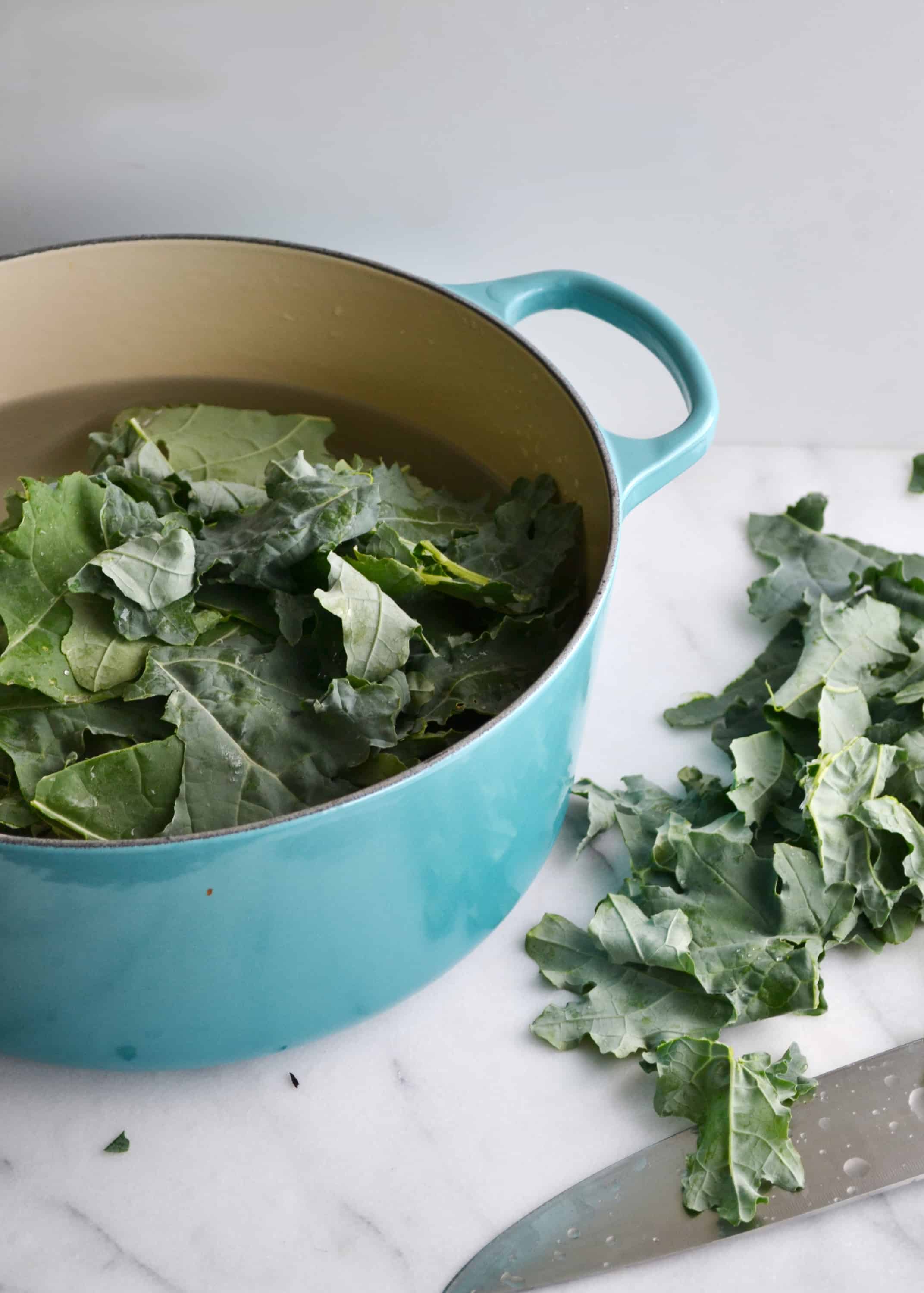 How to Freeze Kale Preserving Kale Boxwood Ave.