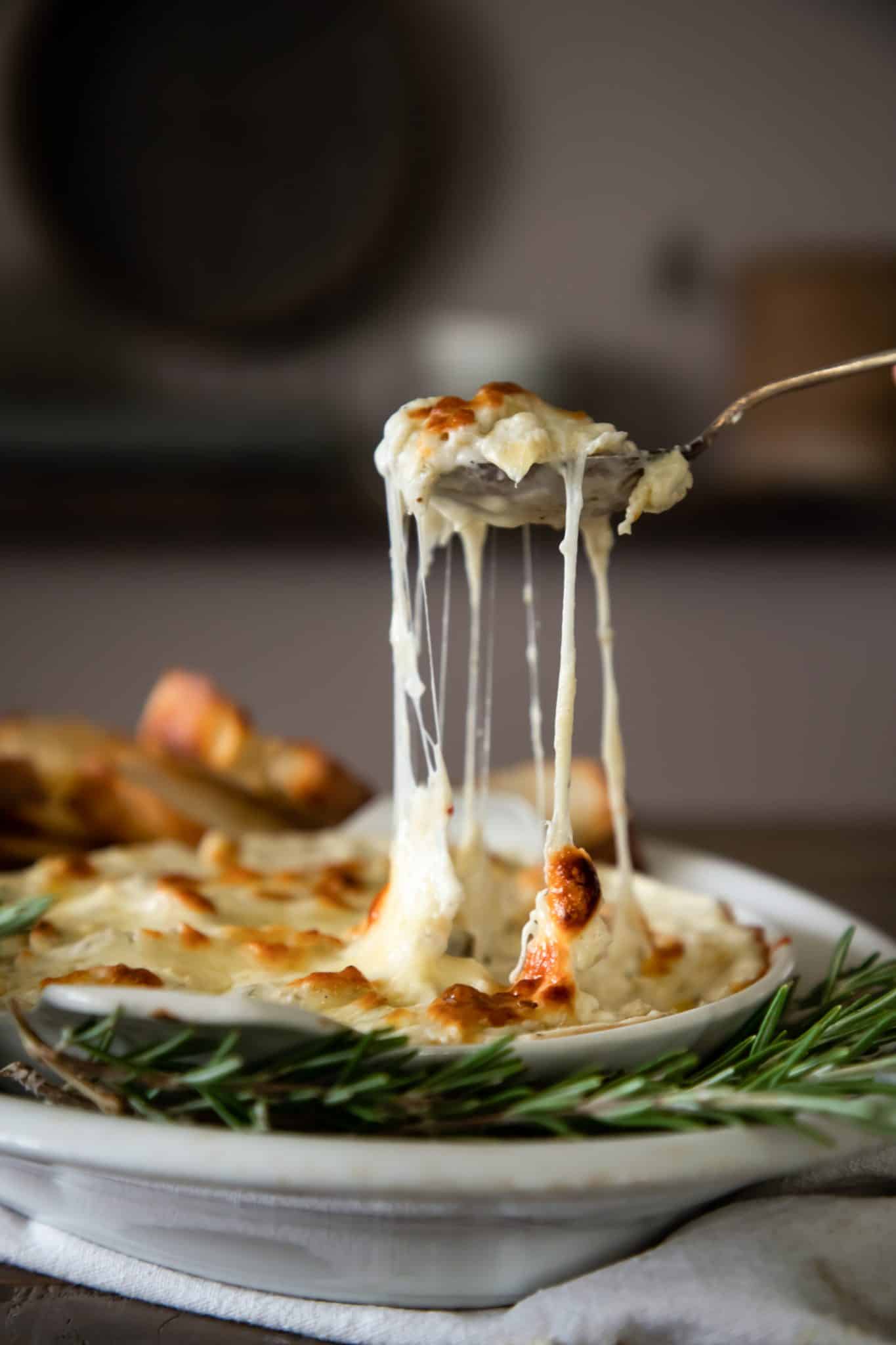 3 Ingredient Artichoke Dip Boxwood Ave