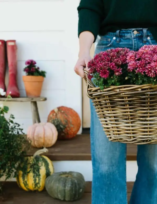 Girl holding basket of pink mums on fall porch