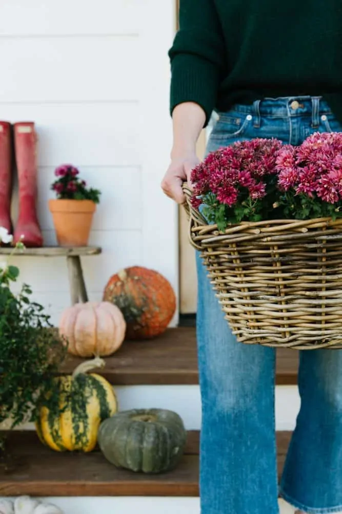 Girl holding basket of pink mums on fall porch