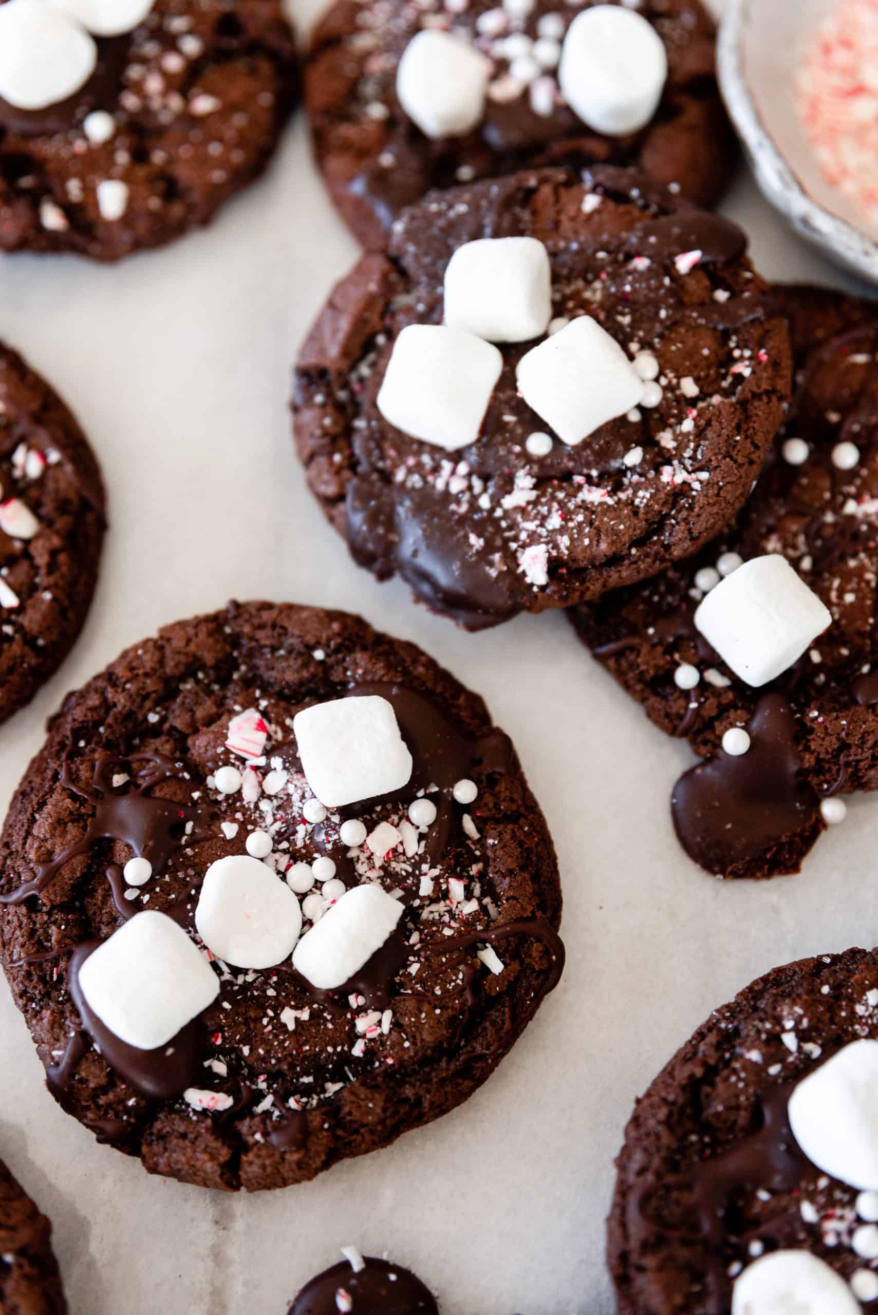 https://boxwoodavenue.com/wp-content/uploads/2020/12/hot-coco-cookies-15-scaled.jpg