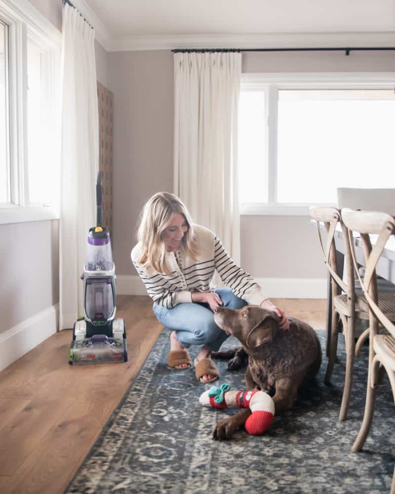 Playing with a dog on clean carpet in the dining room after vacuuming.