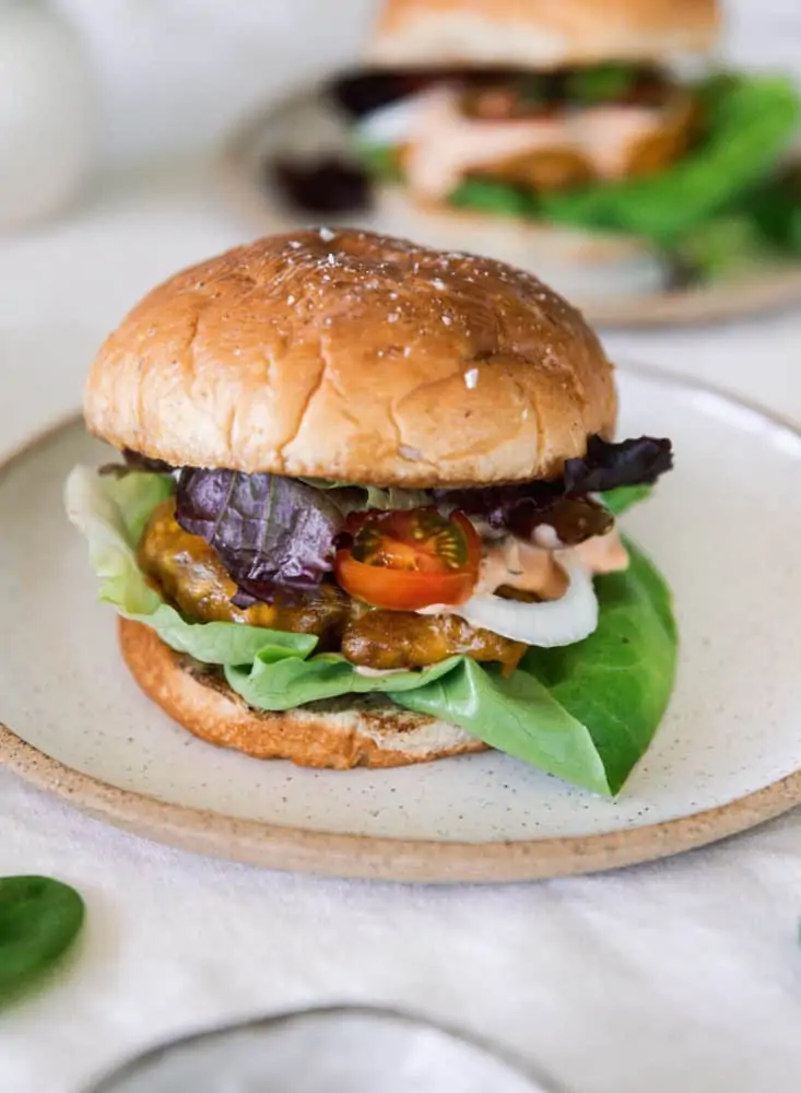 The Best Burger Recipe (just 2 ingredients!) - Don't Waste the Crumbs