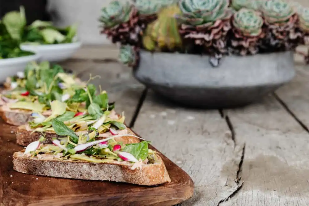 Wooden cutting board with a line of smoked salmon tartines with a succulent planter in the background