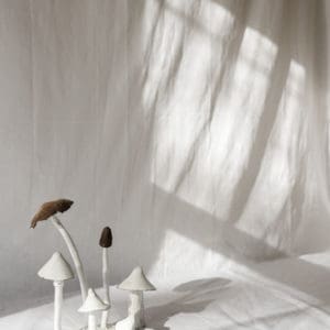 ceramic mushroom sculptures with a white cloth backdrop