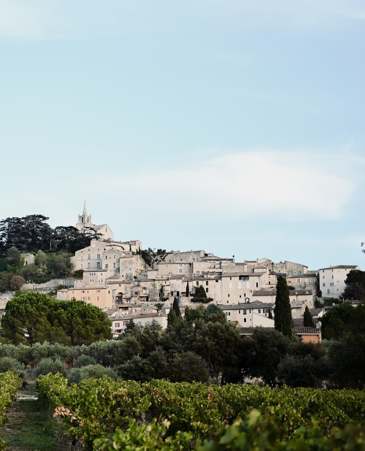 Hillside in Provence, France.