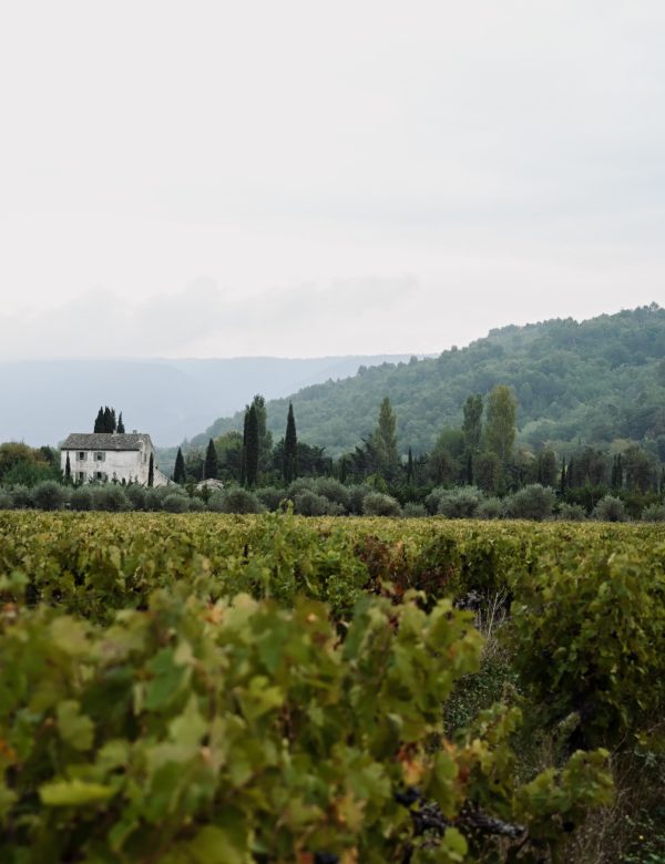 Field and view of Provence, France.