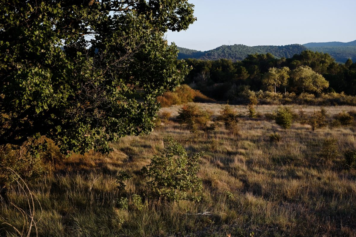 Countryside in Provence, France