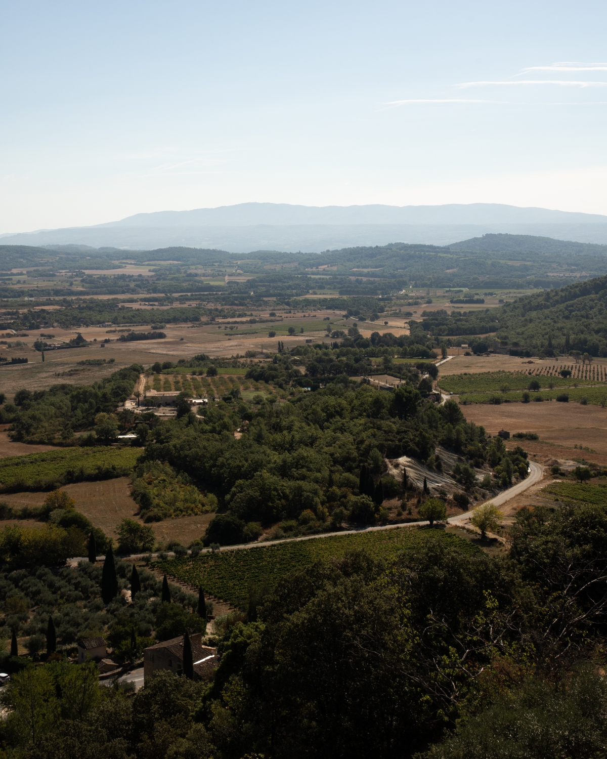 View of Provence, France with wineries, greenery, and old world charm.